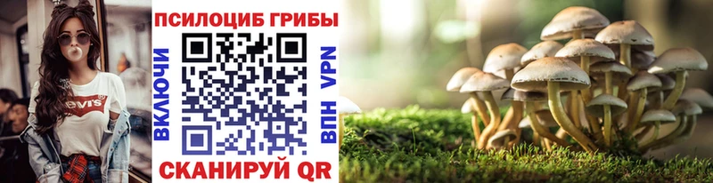 закладка  Таганрог  Псилоцибиновые грибы MAGIC MUSHROOMS 